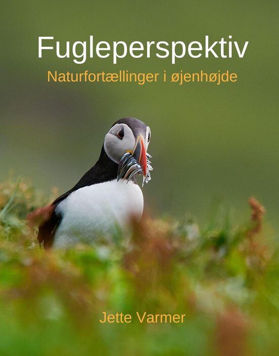 Fugleperspektiv - naturfortællinger i øjenhøjde af Jette Varmer