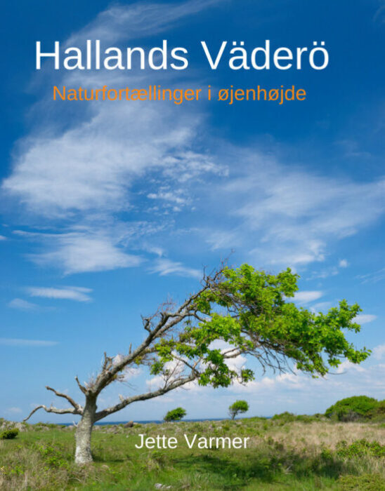 Hallands Väderö - naturfortællinger i øjenhøjde af Jette Varmer